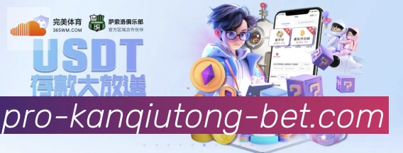 未来规划